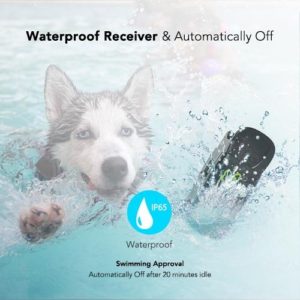 Image of Dog Care Waterproof
