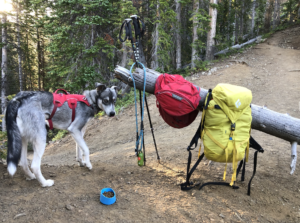 Image of Dog Backpacking Gear